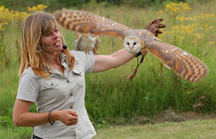 African_Bird_of_Prey_Sanctuary